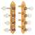 Waverly F-style Mandolin Machines with Ivoroid Knobs, Satin gold