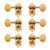 Waverly Guitar Tuners with Vintage Oval Knobs for Solid Pegheads, Gold, 3L/3R