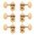 Waverly Guitar Tuners with Butterbean Knobs for Solid Pegheads, Gold, 3L/3R