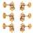 Waverly Guitar Tuners with Engraved Knobs for Solid Pegheads, Gold, 3L/3R