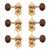 Waverly Guitar Tuners with Snakewood Knobs for Solid Pegheads, Gold, 3L/3R