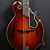 Mandolin