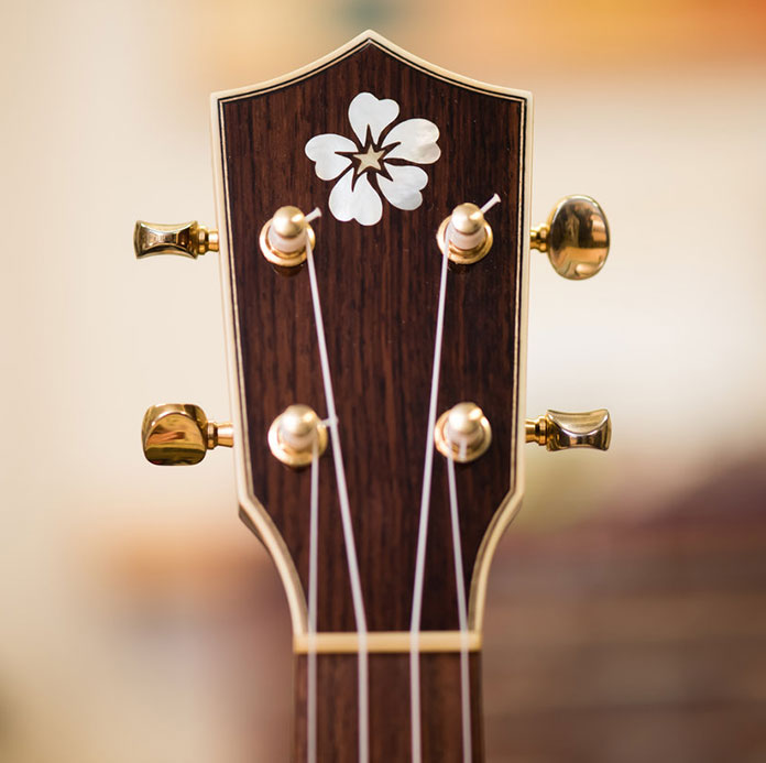 Ukulele