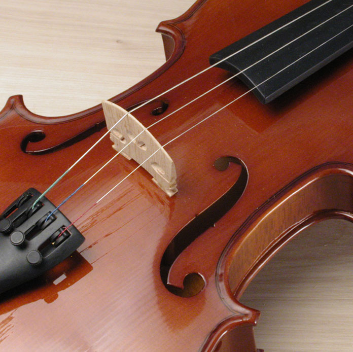 Violin