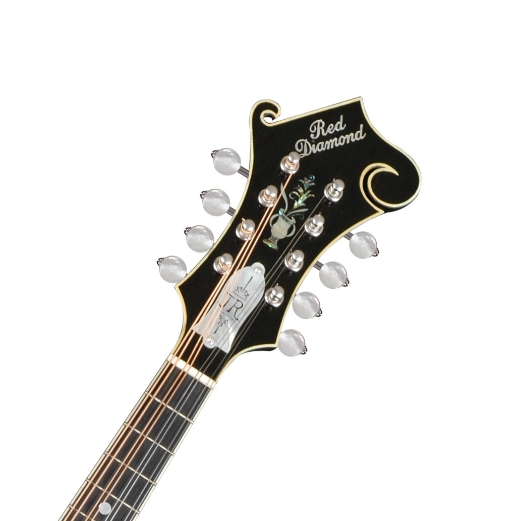 Mandolin