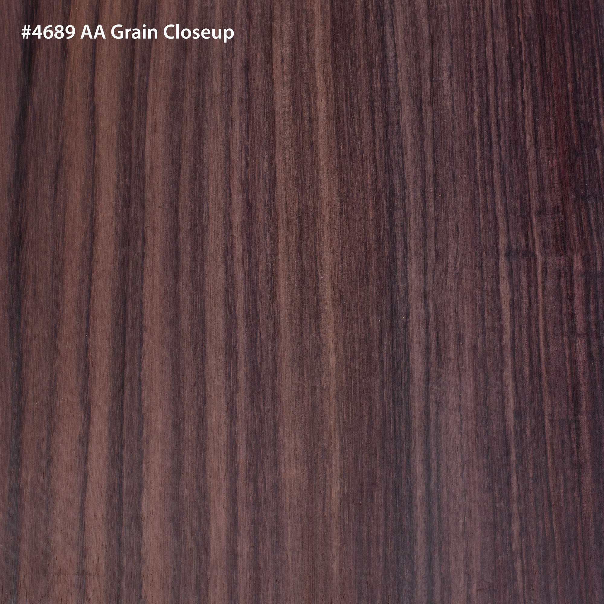 Indian Rosewood Back + Side Set for Dreadnought Guitar