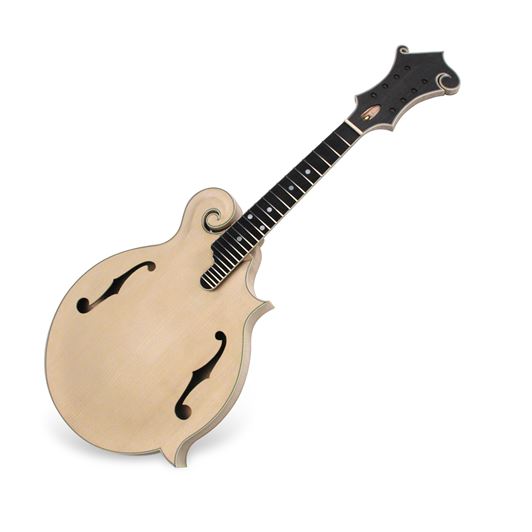 F5 Mandolin Kit StewMac