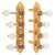 Waverly F-style Mandolin Machines with Ivoroid Knobs, Satin gold
