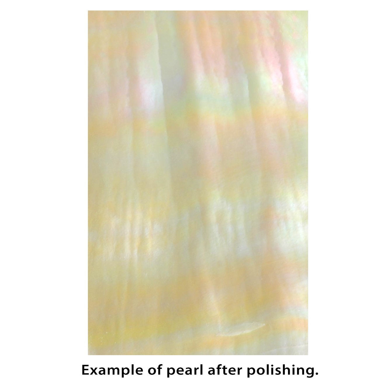 Pearl Inlay Blanks - 1oz Pack