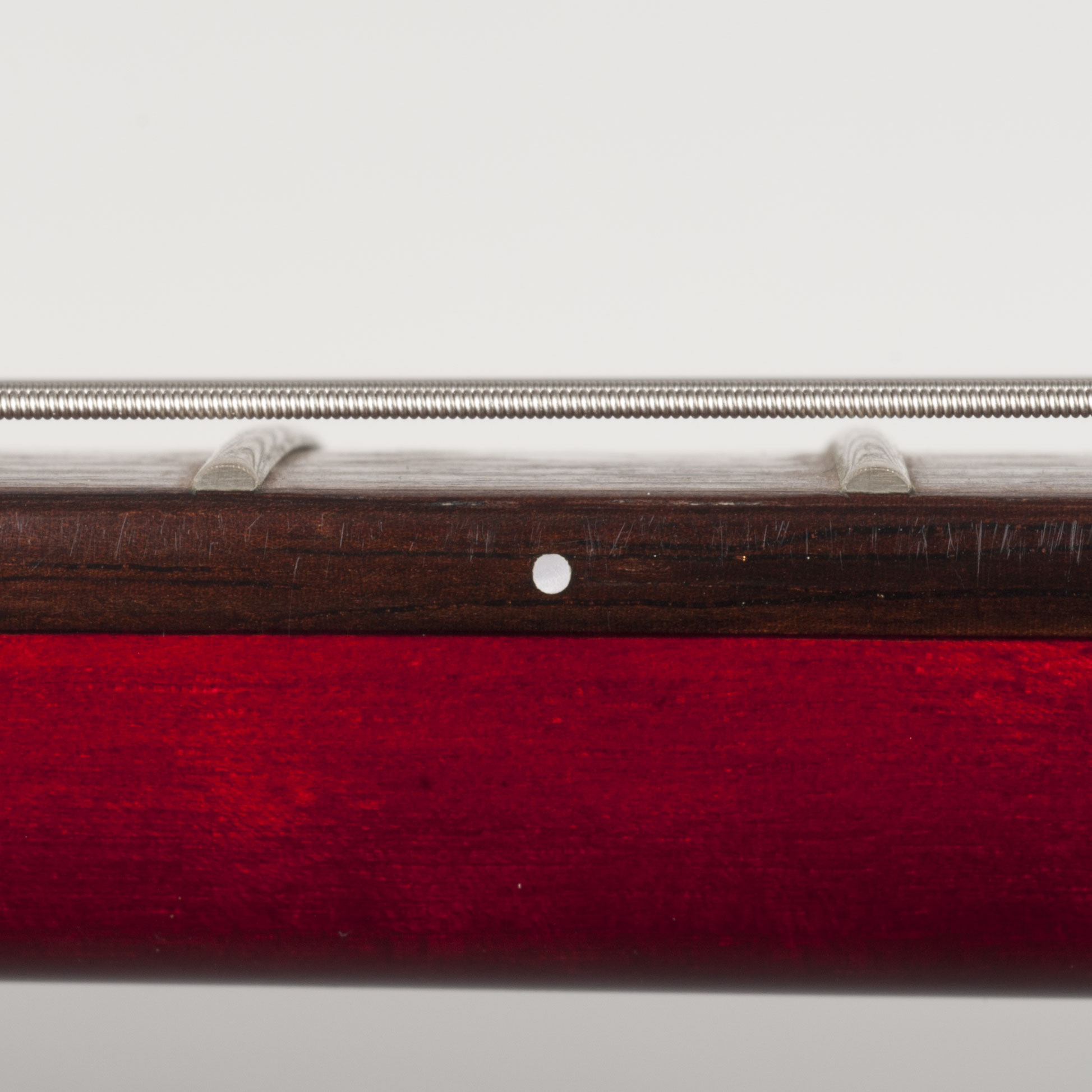 Pearl Fretboard Side Dots