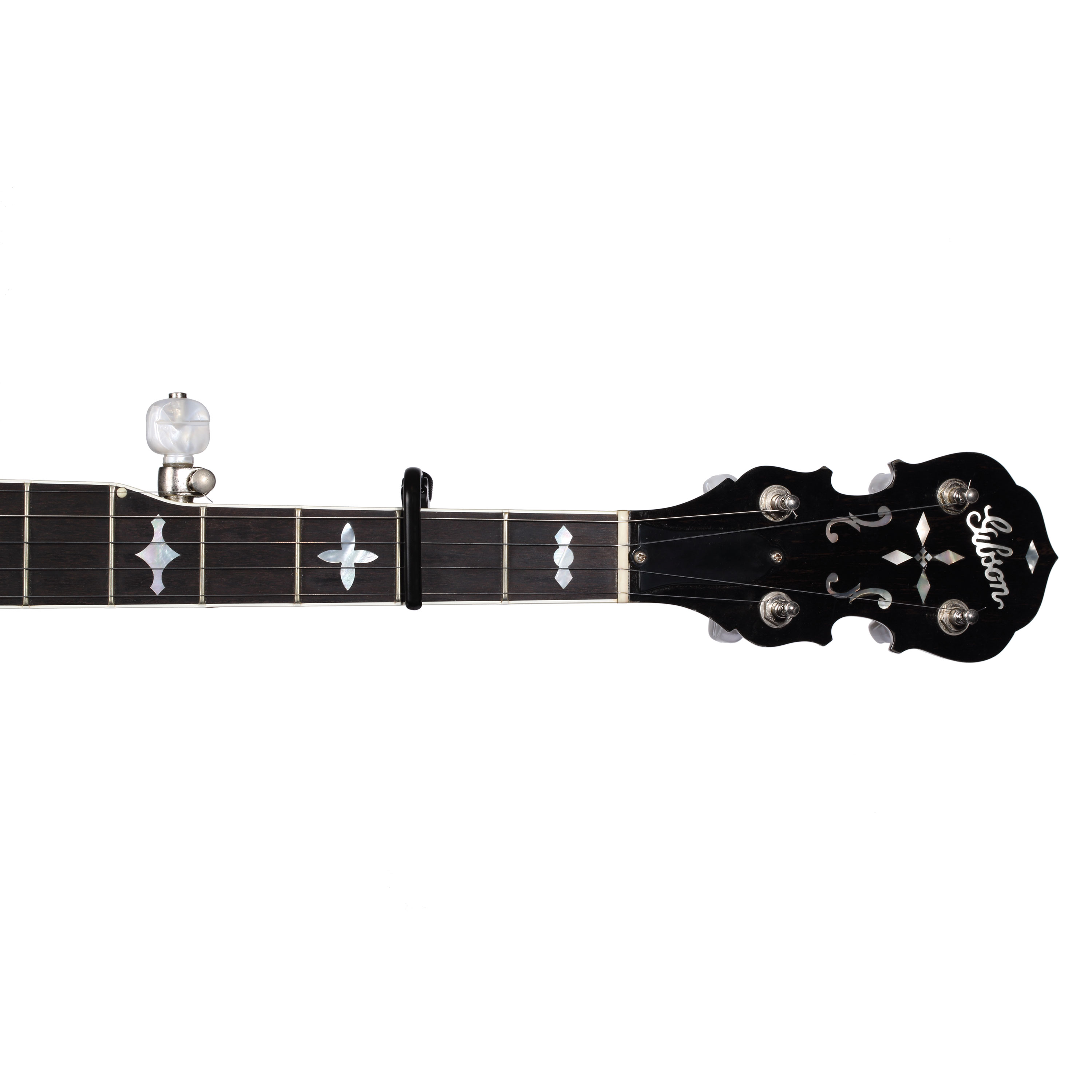 Planet Waves Classic Banjo Strap, Single-Ply Leather, Black – Sullivan  Banjo Co. * DC Calls