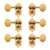 Waverly Guitar Tuners with Vintage Oval Knobs for Solid Pegheads, Gold, 3L/3R