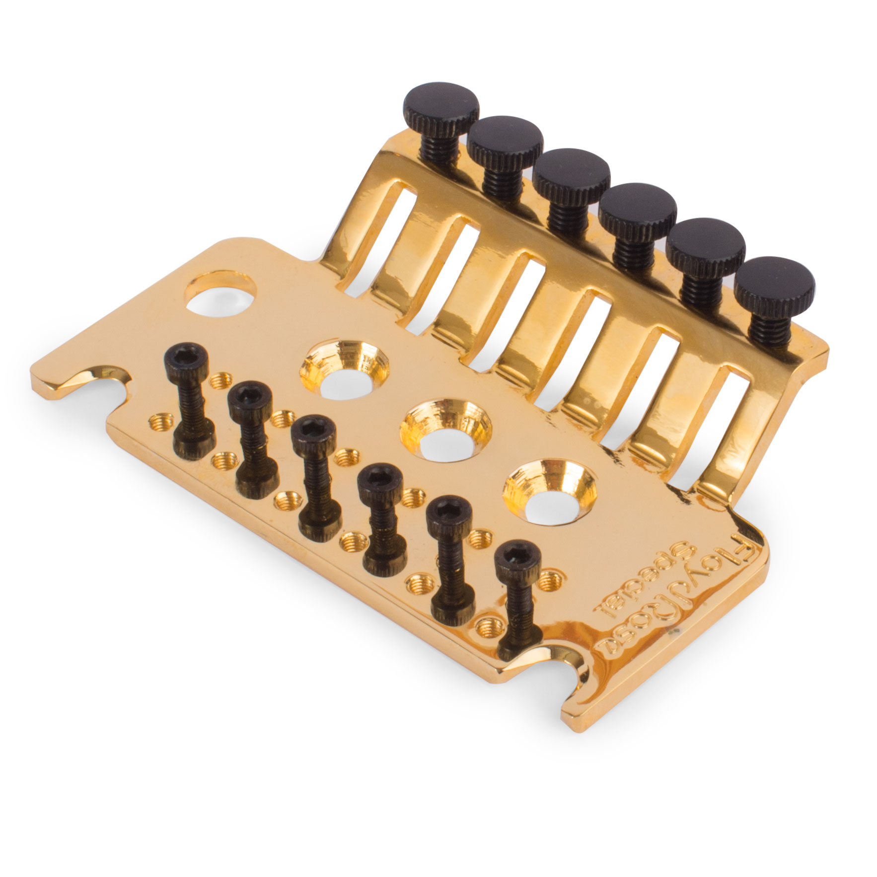 Floyd Rose Special Series Base Plate with Screws