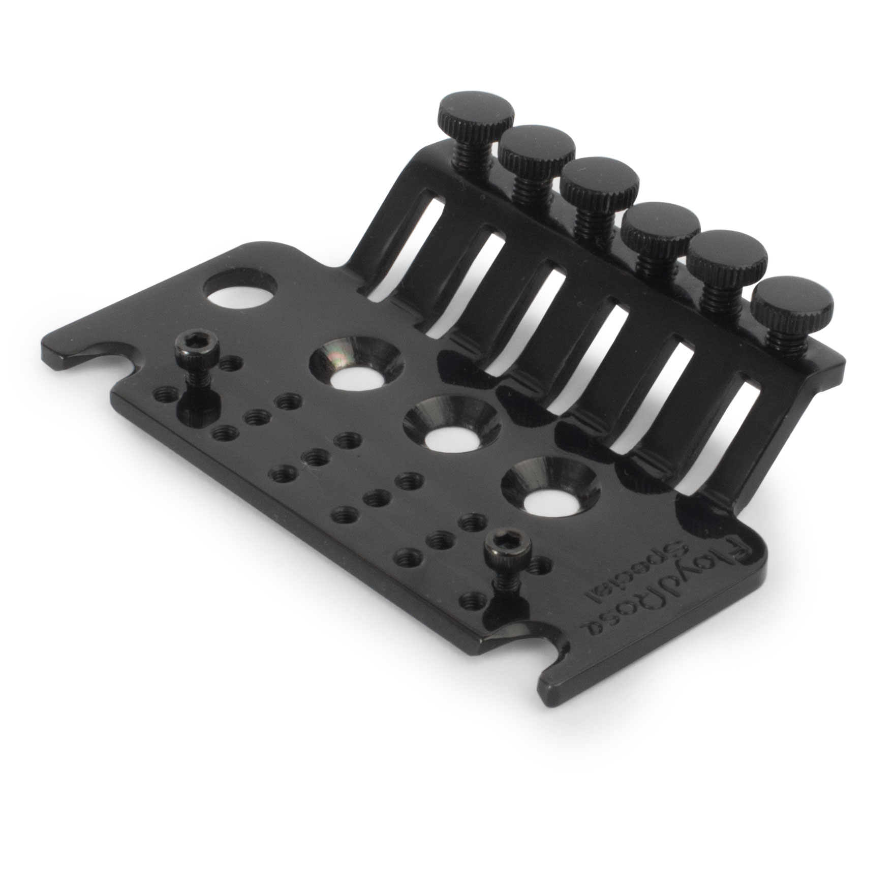 Floyd Rose Special Series Base Plate with Screws, Black