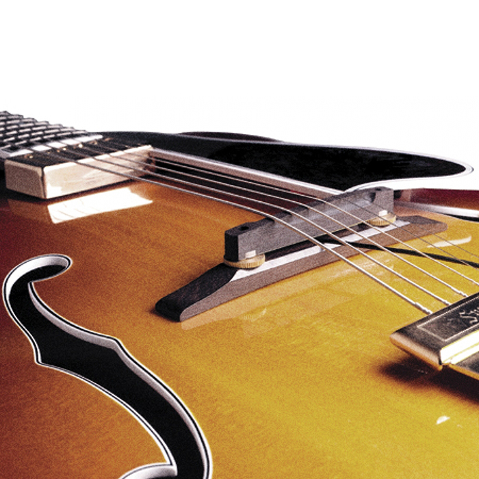 ギターピックアップ　fishman Fishman Archtop Guitar Pickup - StewMac