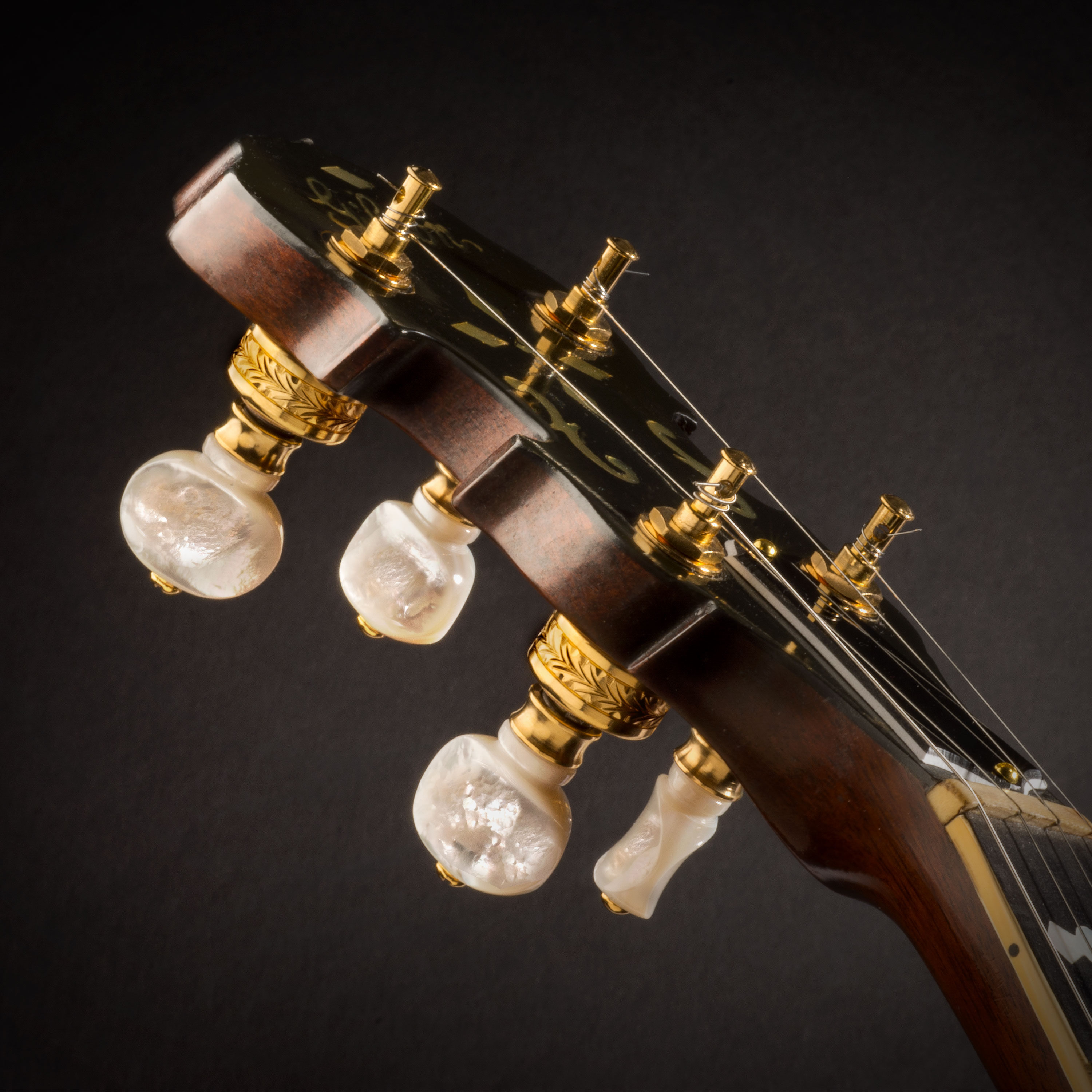 Waverly Hand Engraved Banjo Pegs