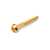 Tremolo Bridge Mounting Screws, Gold