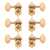 Waverly Guitar Tuners with Butterbean Knobs for Solid Pegheads, Gold, 3L/3R