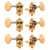 Waverly Guitar Tuners with Butterbean Knobs for Slotted Pegheads, Gold, 3L/3R