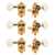 Waverly Guitar Tuners with Ivoroid Knobs for Slotted Pegheads, Gold, 3L/3R