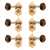 Waverly Guitar Tuners with Dark Tortoise Knobs for Solid Pegheads, Gold, 3L/3R