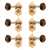 Waverly Guitar Tuners with Dark Tortoise Knobs for Slotted Pegheads, Gold, 3L/3R