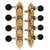 Waverly A-style Mandolin Tuners with Ebony Knobs, Satin gold