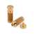 TonePros SM1 Metric Locking Studs, Gold - Set of 2