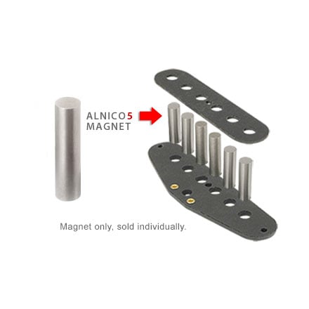 Alnico Magnet Set