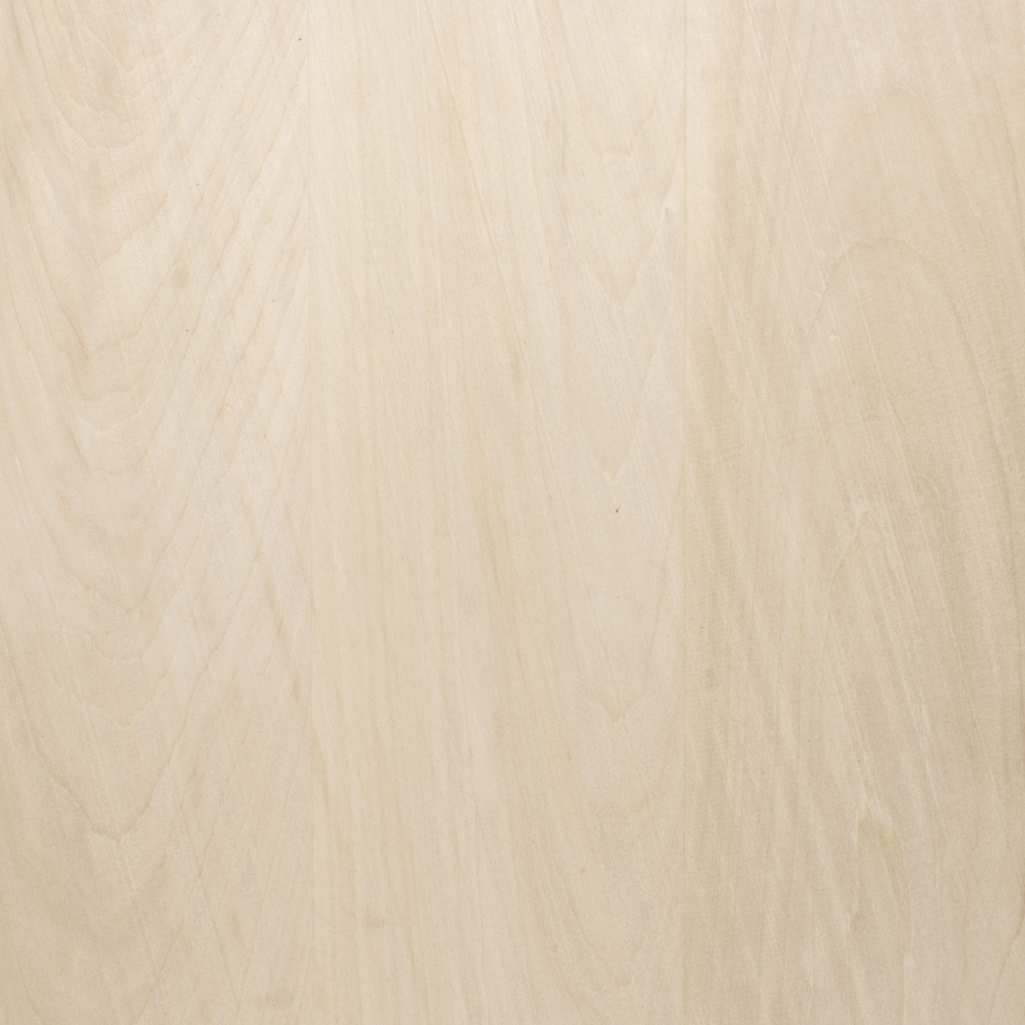 Basswood Paintgrade Body Blank StewMac