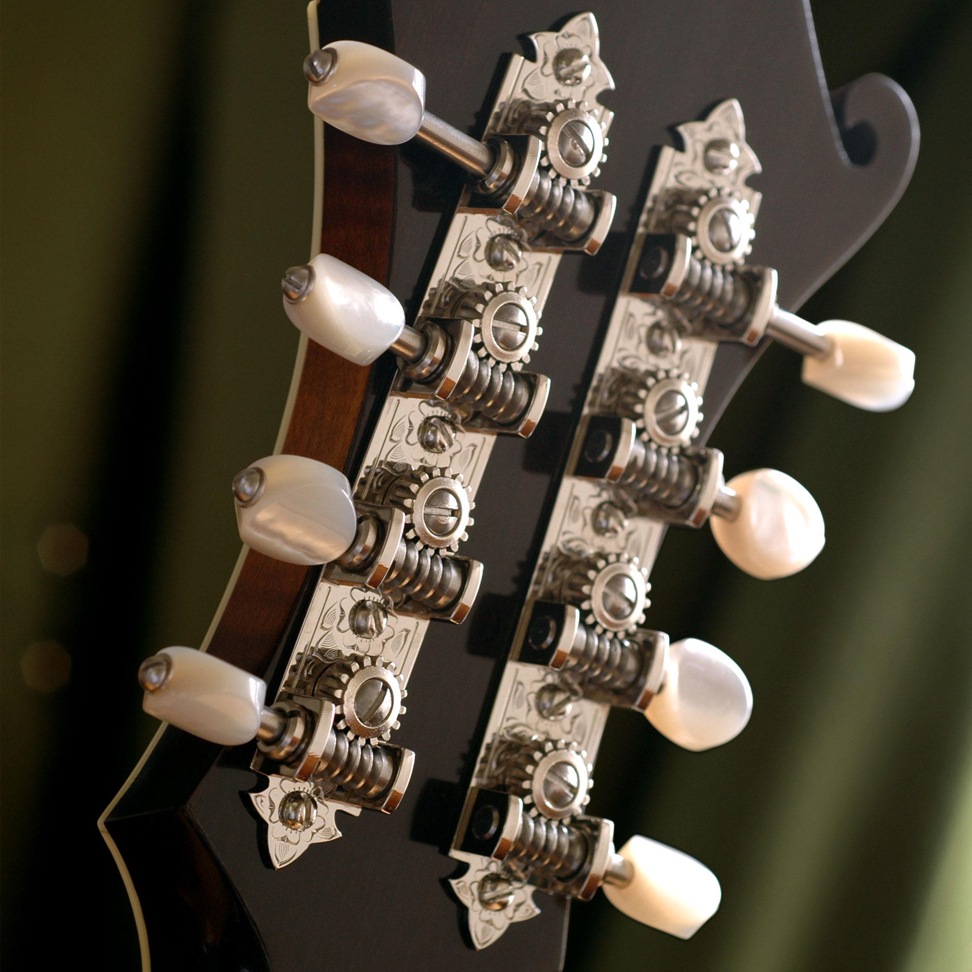 Waverly F-style Mandolin Machines with Pearl Knobs