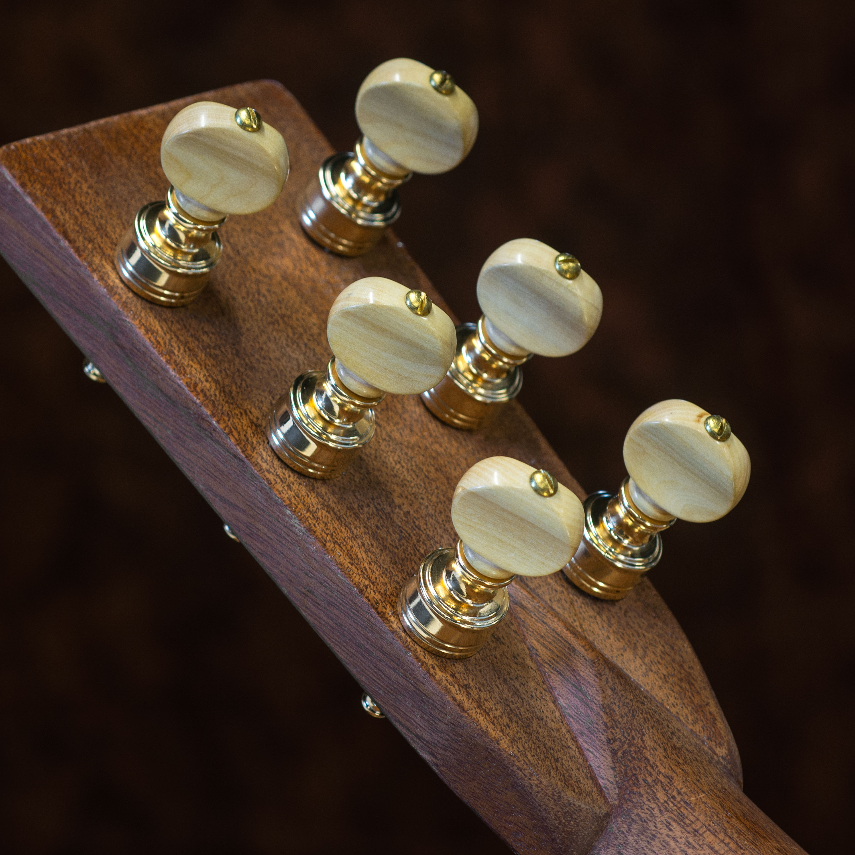 Rickard Cyclone High Ratio Tuning Pegs for Guitar with Boxwood Knobs, Set of 6