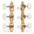 Sloane Classical Guitar Tuners with Ivoroid Knobs and Flower Baseplates, Bright Brass, White Rollers