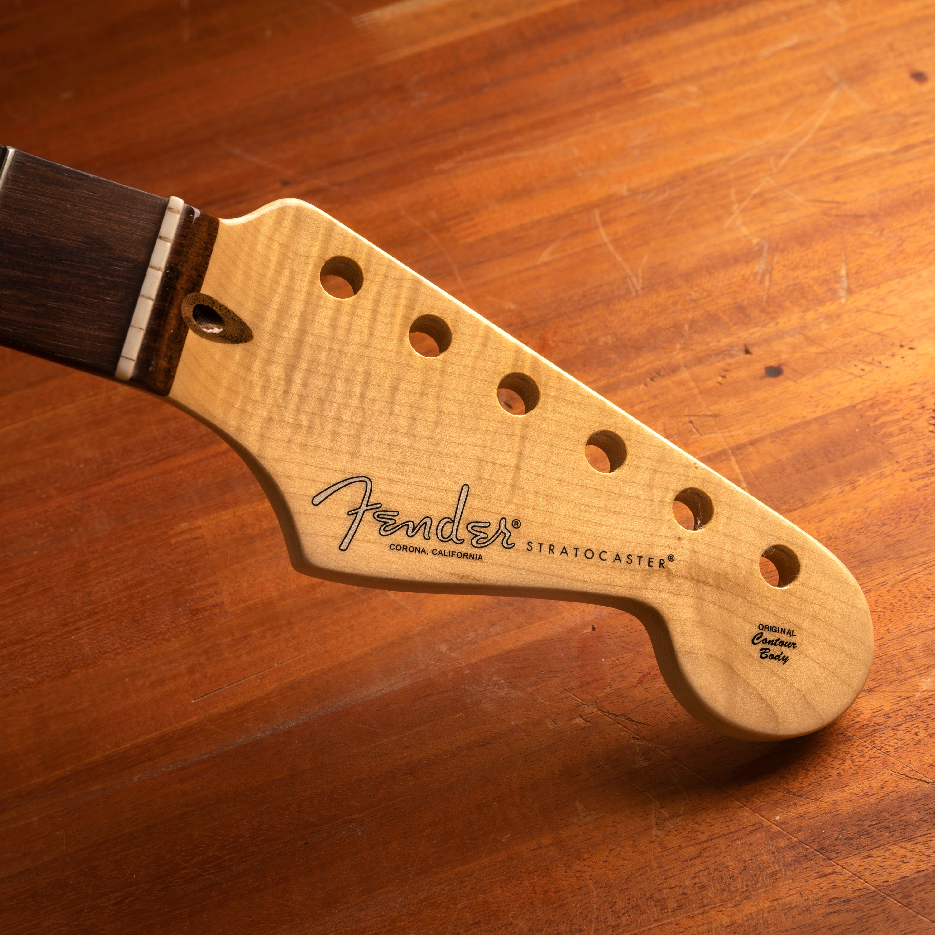 Fender American Pro Stratocaster Neck