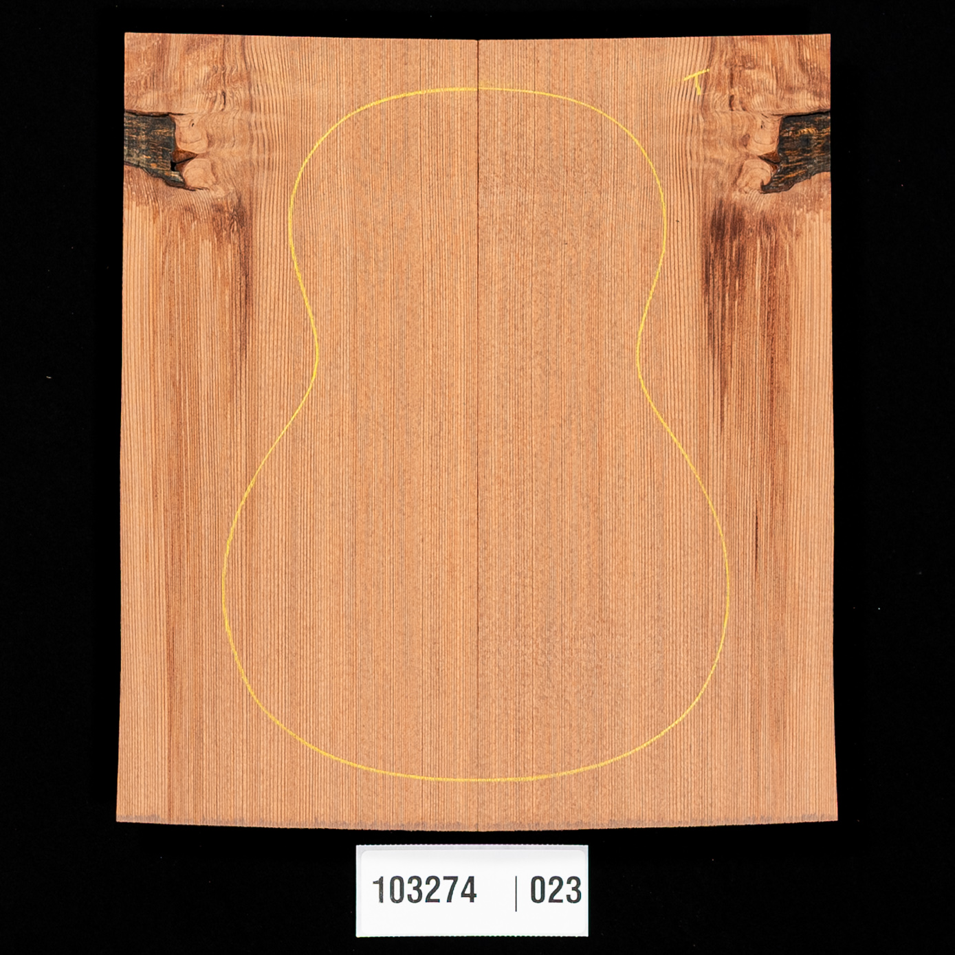 Lost Tunnel Redwood Soundboard for Tenor Ukulele - 023
