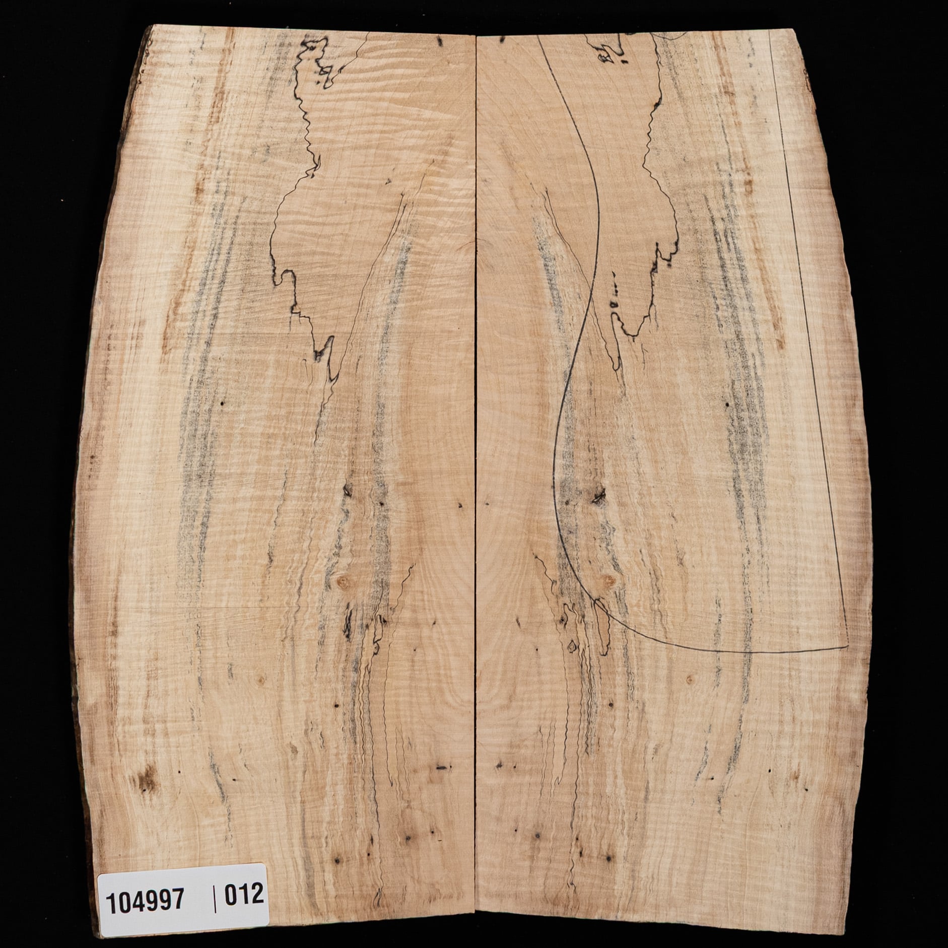 Spalted Curly Tochi Drop Top - 012