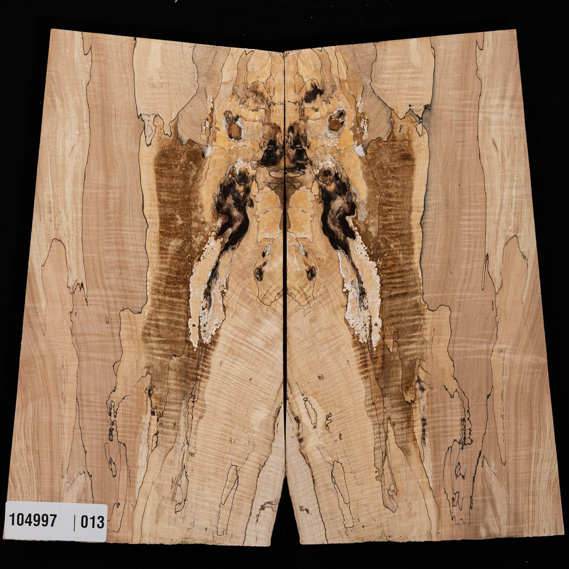 Spalted Curly Tochi Drop Top - 013