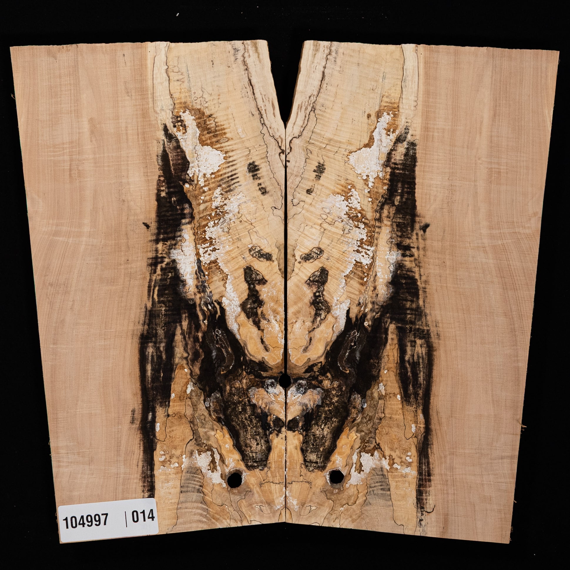 Spalted Curly Tochi Drop Top - 014