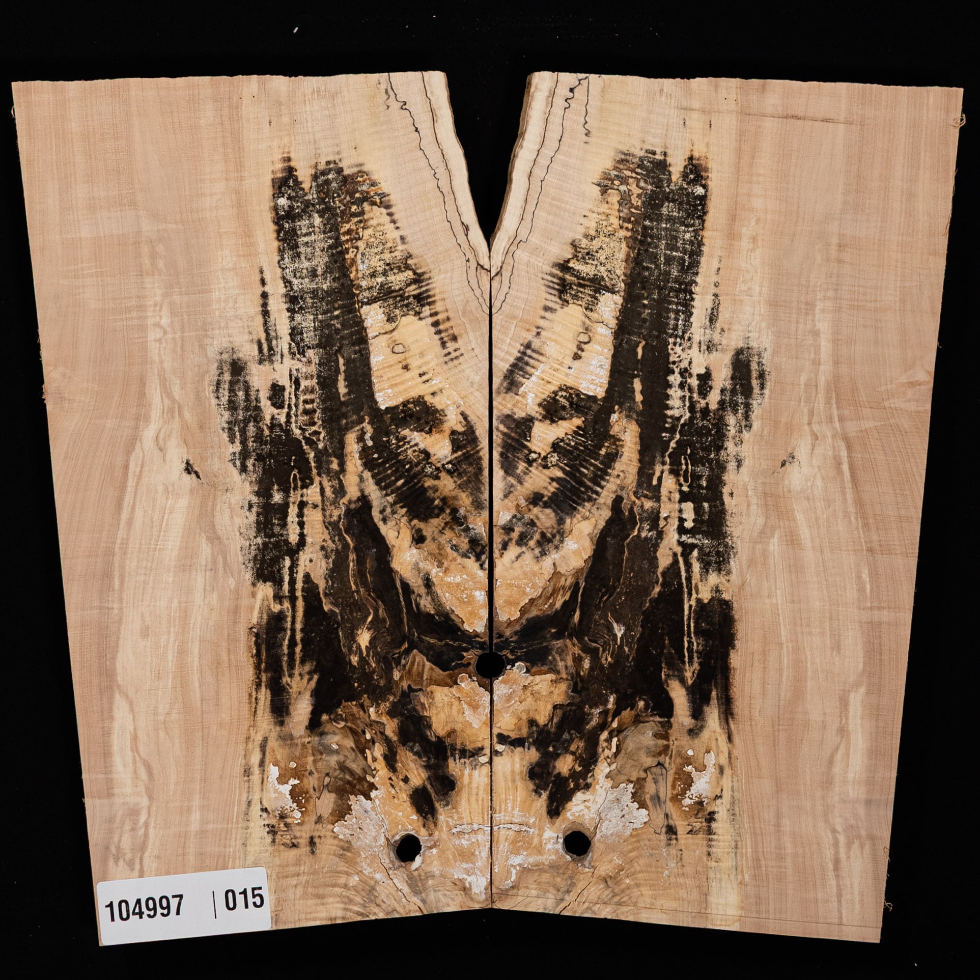 Spalted Curly Tochi Drop Top - 015