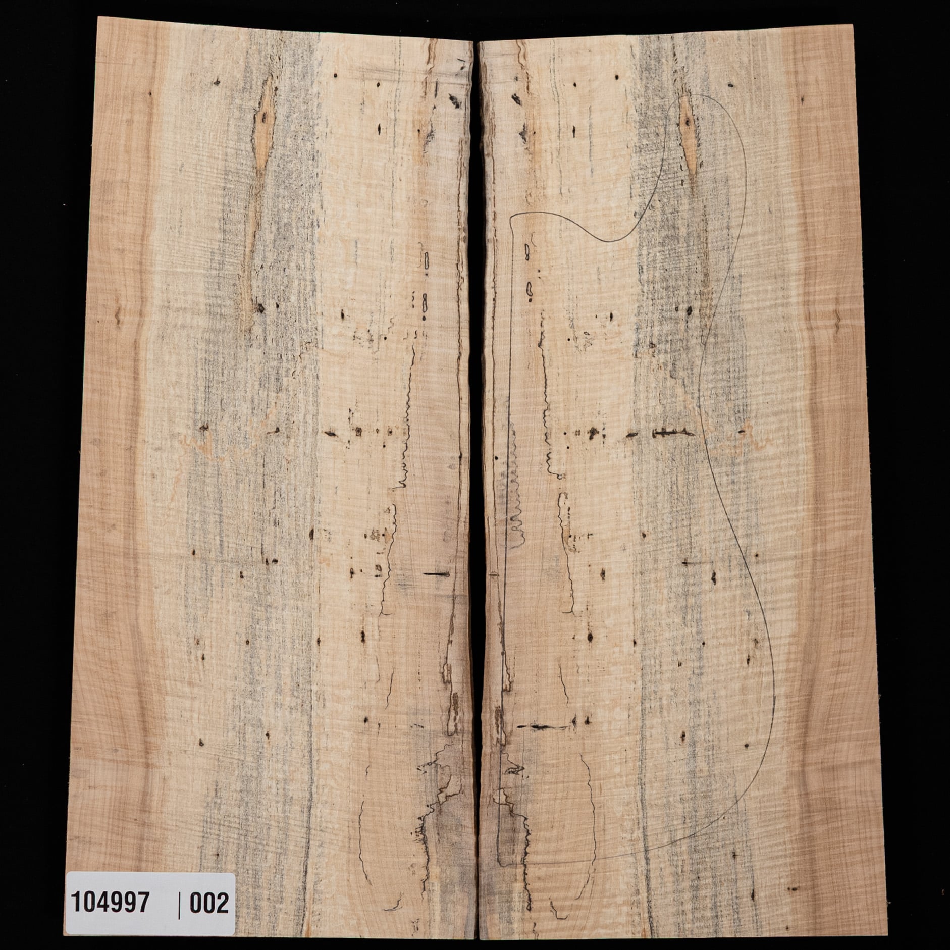 Spalted Curly Tochi Drop Top - 002