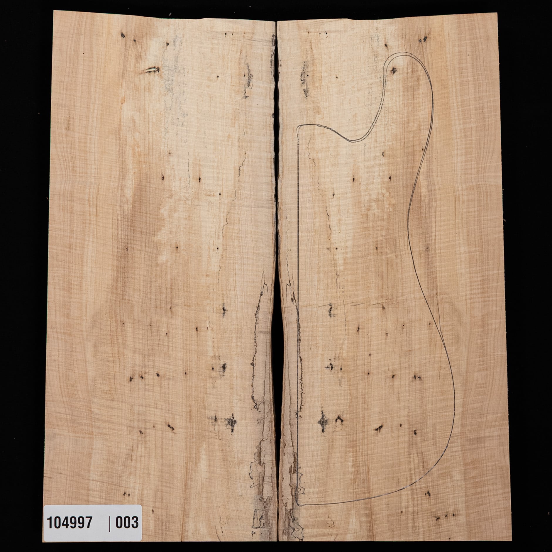 Spalted Curly Tochi Drop Top - 003