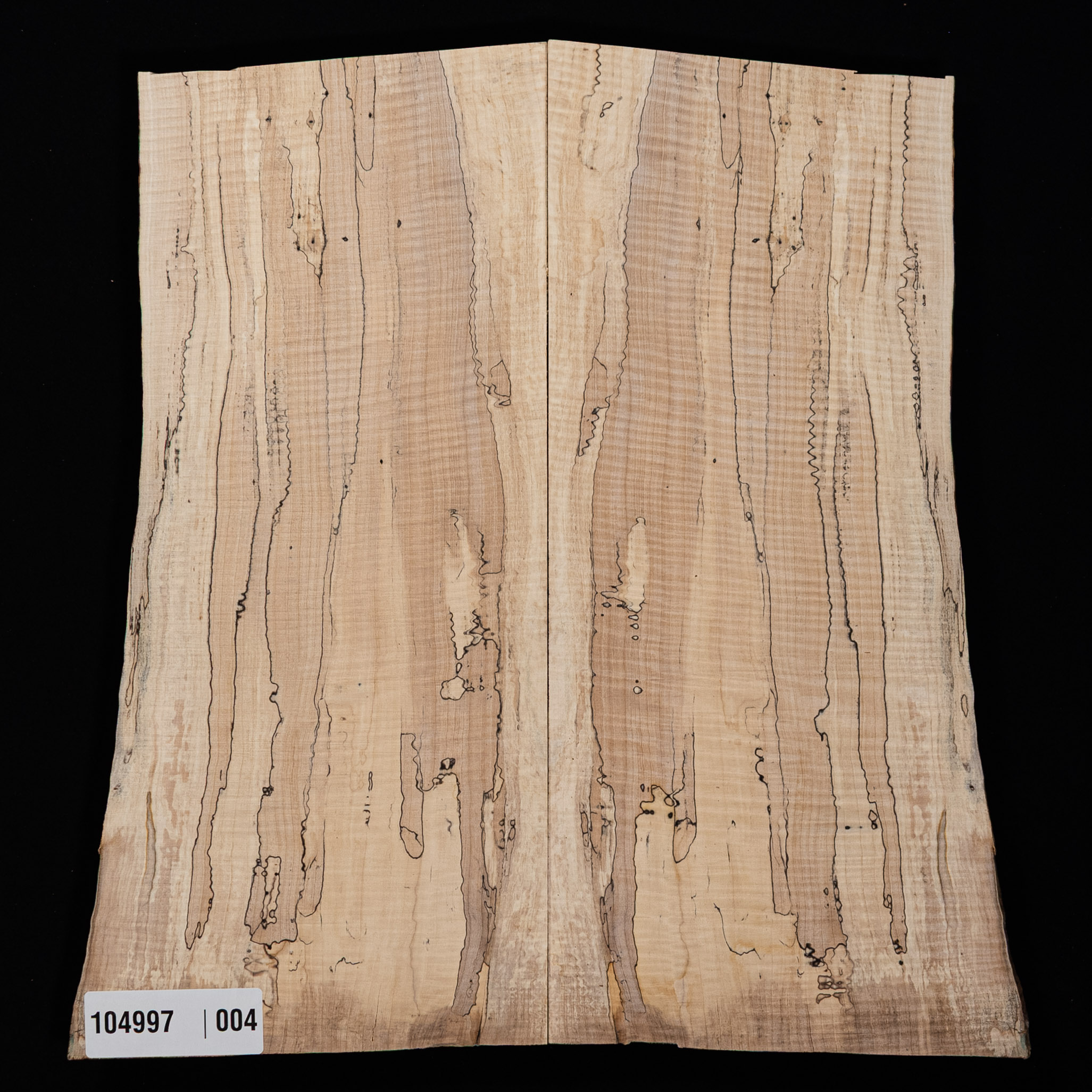 Spalted Curly Tochi Drop Top - 004