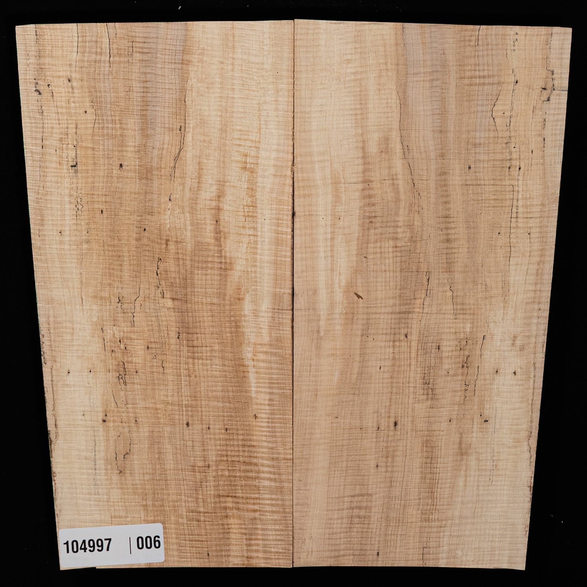 Spalted Curly Tochi Drop Top - 006