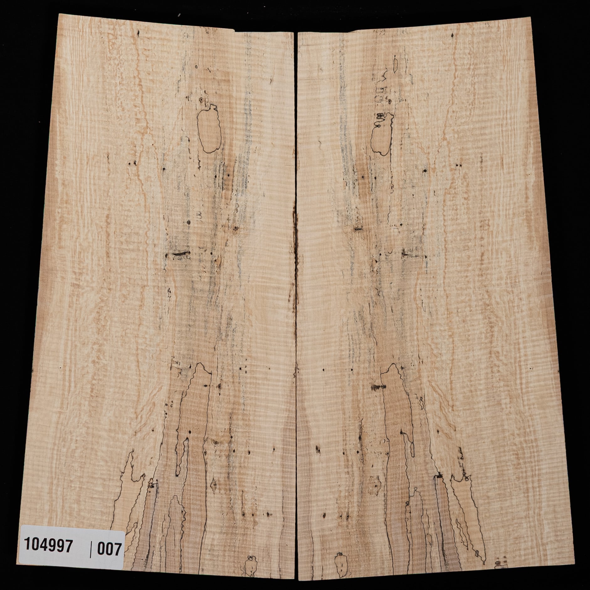 Spalted Curly Tochi Drop Top - 007