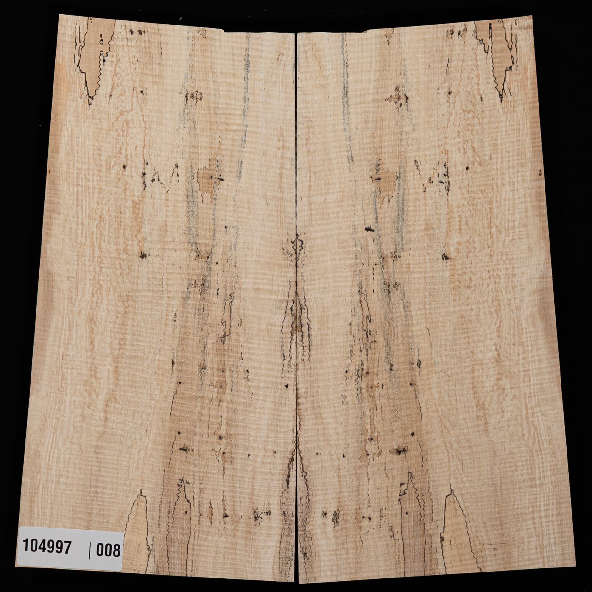 Spalted Curly Tochi Drop Top - 008