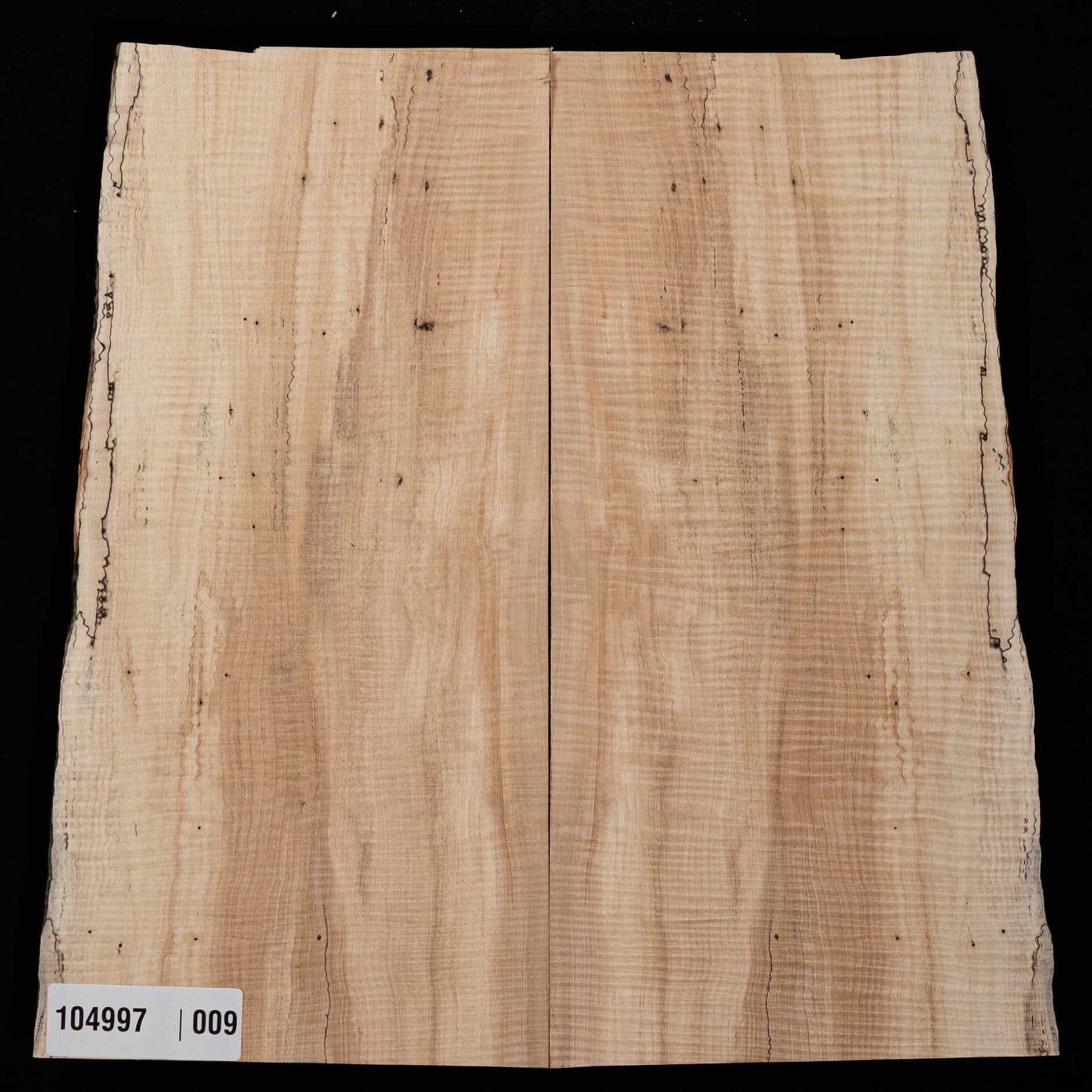 Spalted Curly Tochi Drop Top - 009
