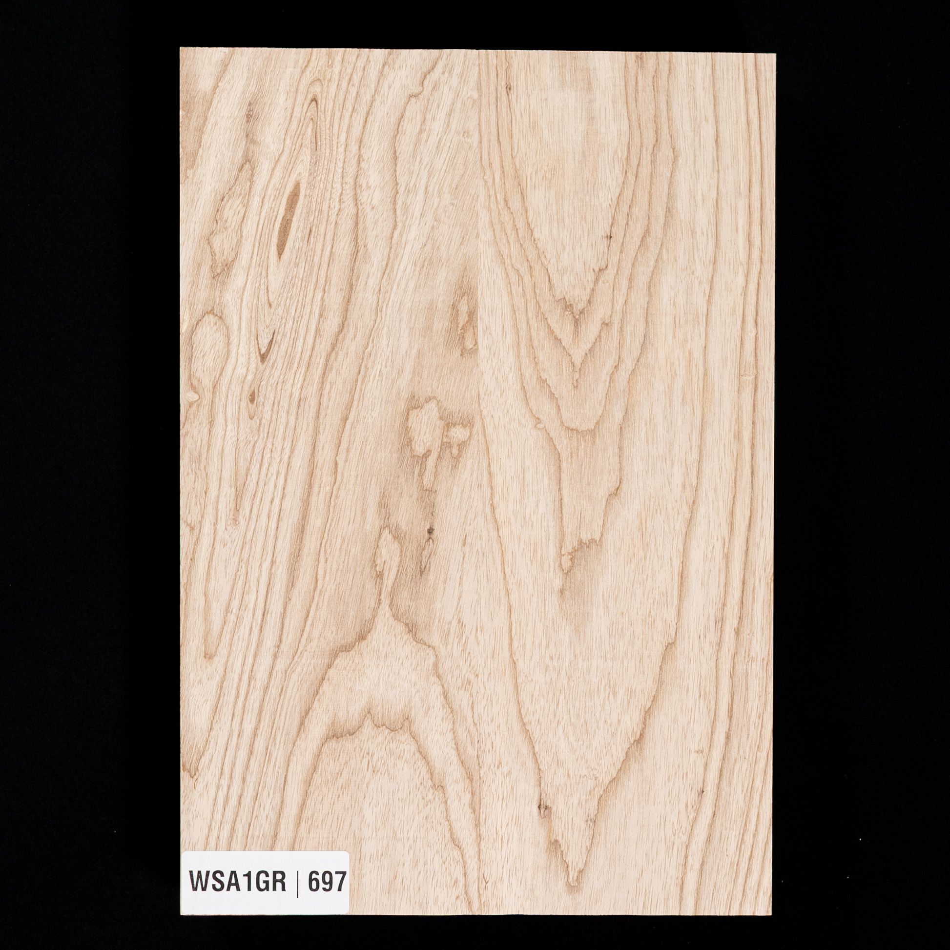 Swamp Ash Body Blank, 2-piece (7.8 lb) - 697