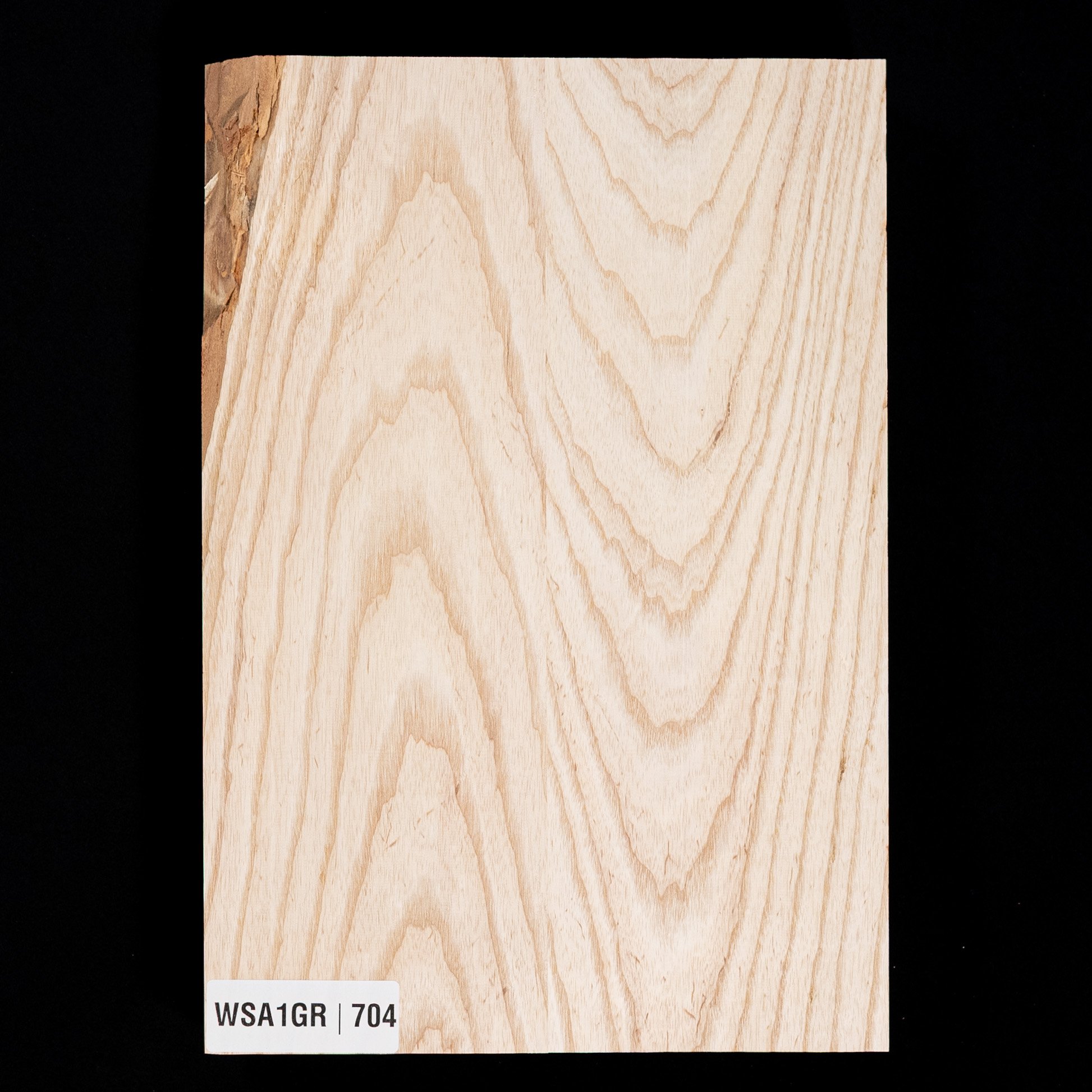 Swamp Ash Body Blank, 2-piece (8.7 lb) - 704