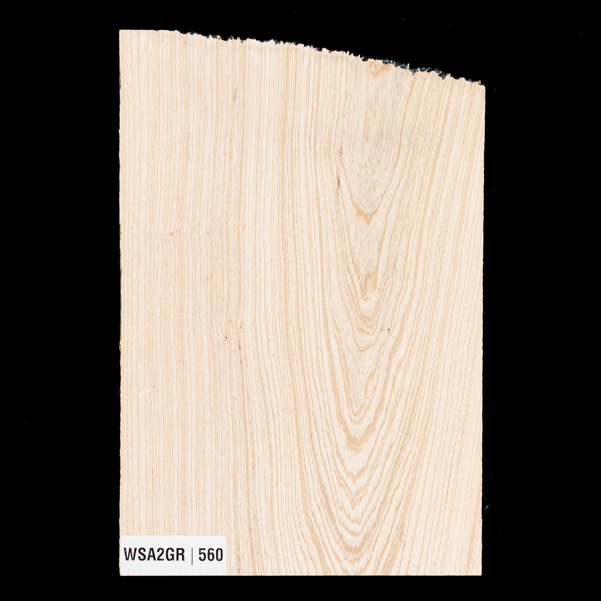 Swamp Ash Body Blank, 1-Piece (7.4 lb) - 560