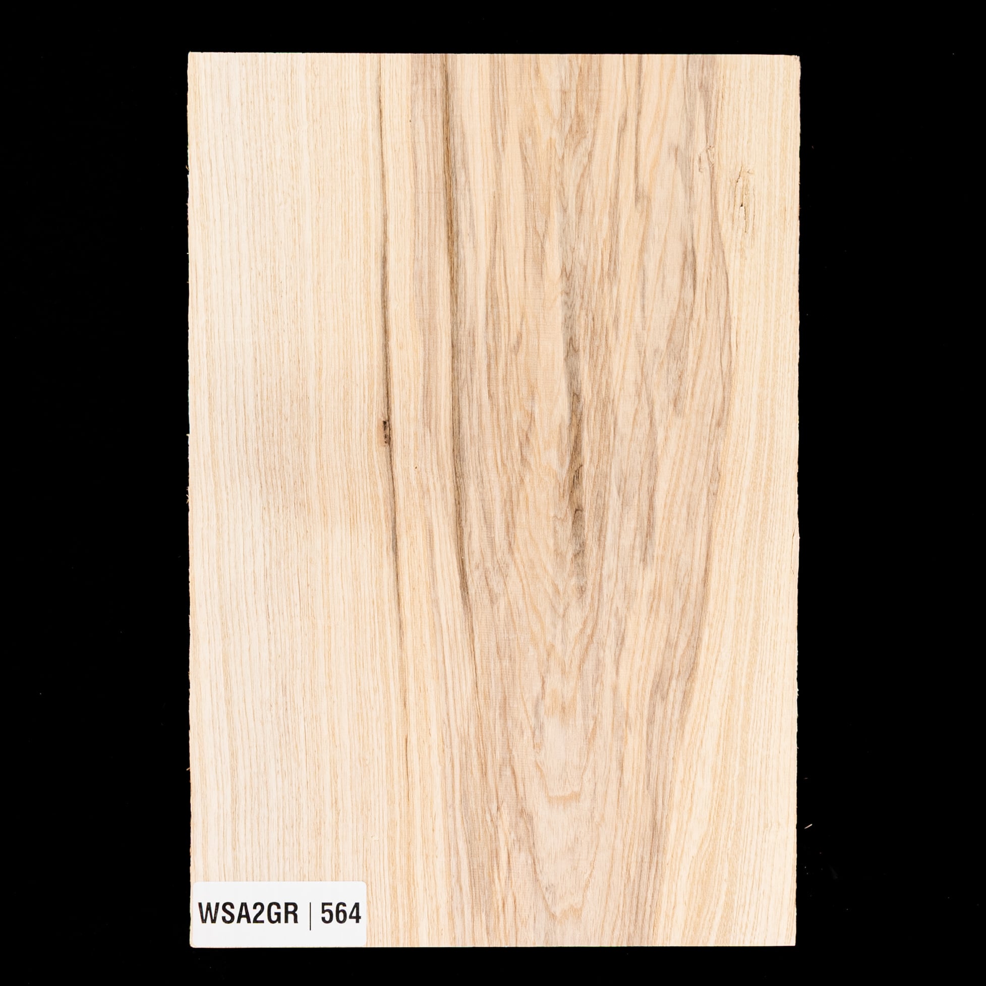 Swamp Ash Body Blank, 1-Piece (7.2 lb) - 564